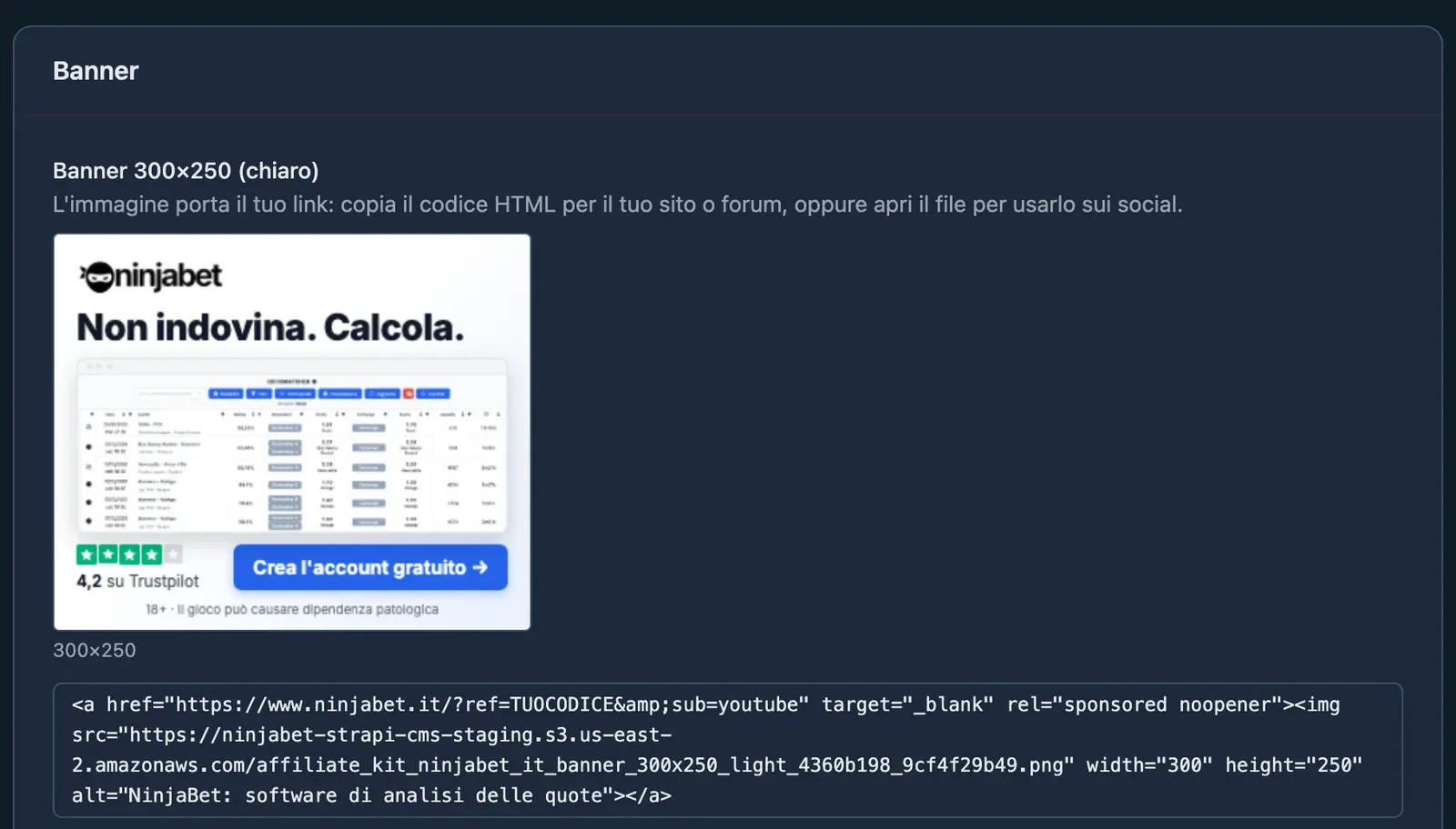 Il kit creatività filtrato sui banner, con il codice HTML che porta il tuo link