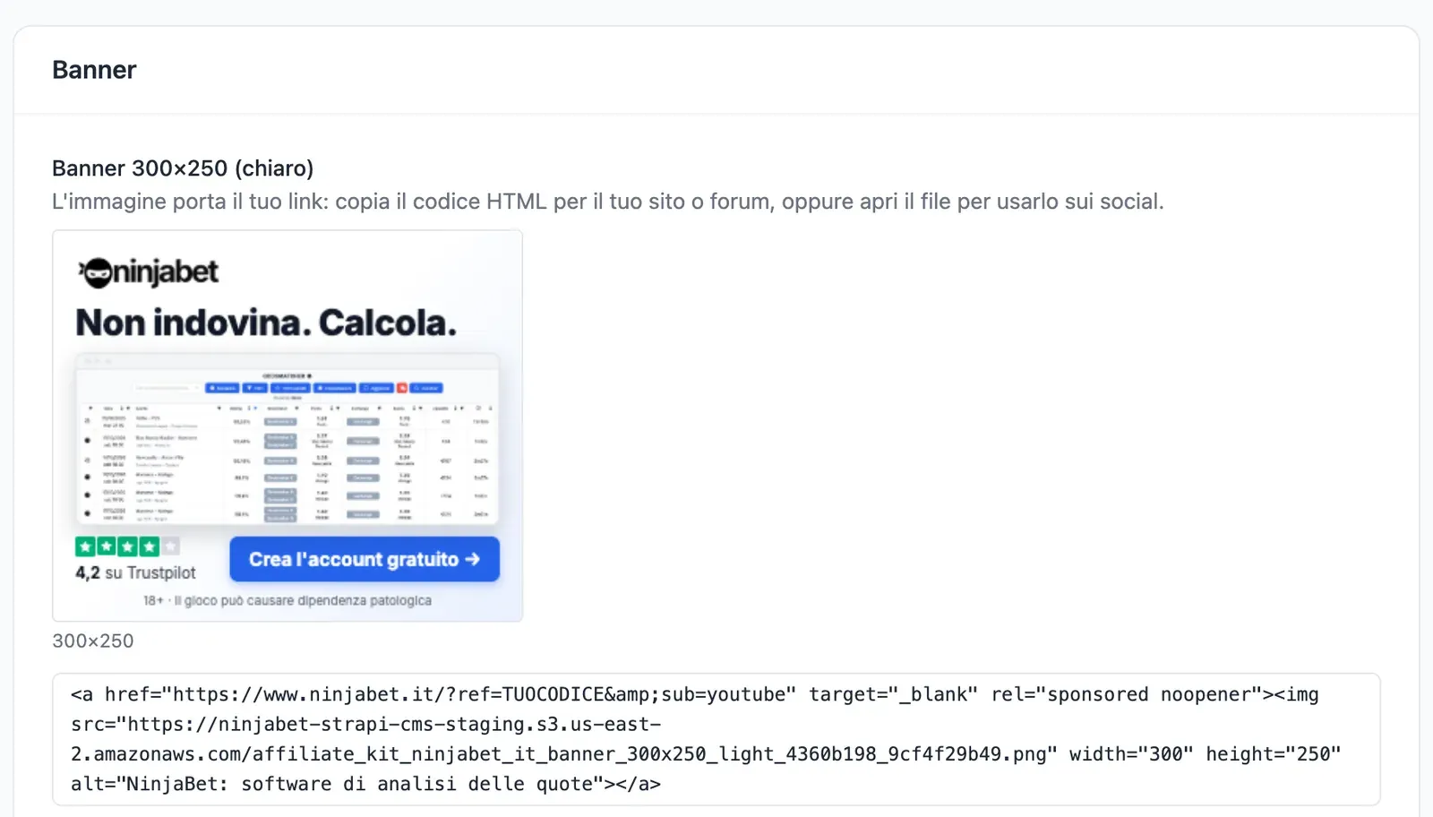 Il kit creatività filtrato sui banner, con il codice HTML che porta il tuo link
